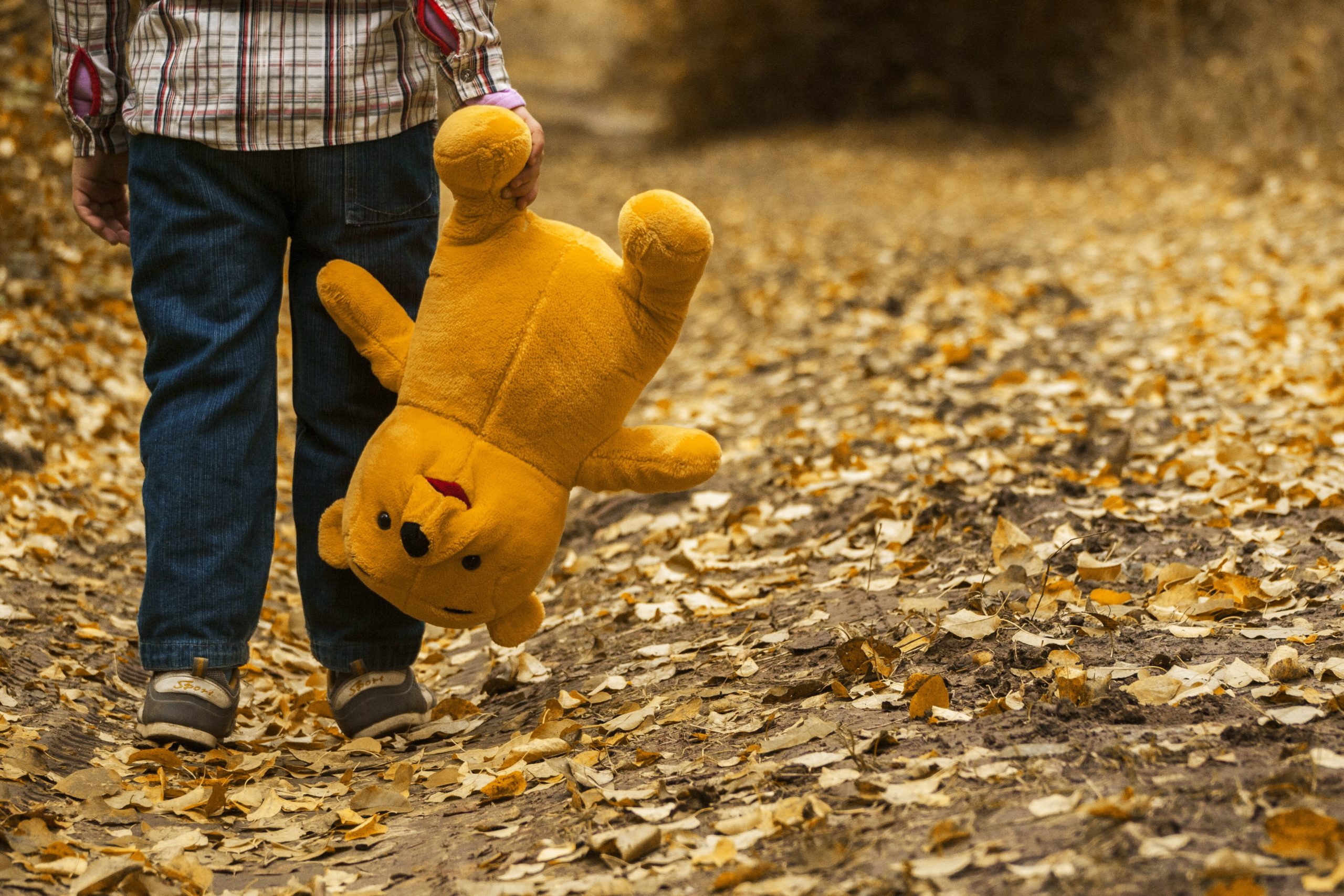 Back of child walking down leafy path carrying a teddy bear in one hand